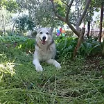 Marica's Second Holiday home Pirovac