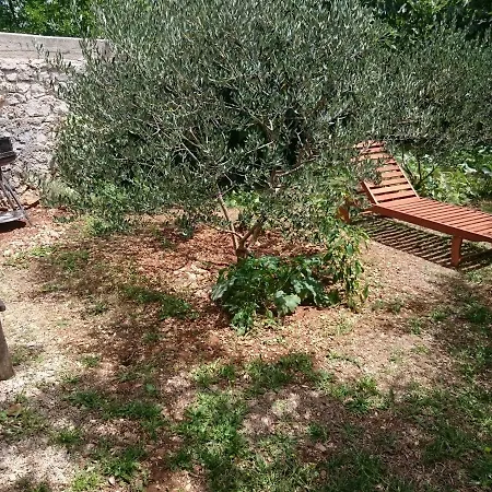 Marica's Second Pirovac