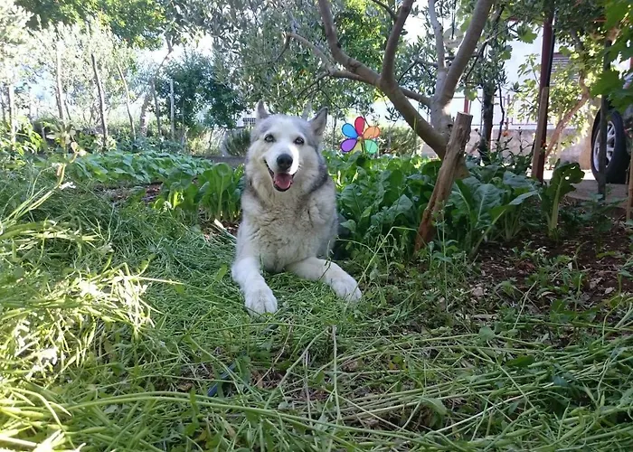 Marica's Second Сasa de vacaciones Pirovac